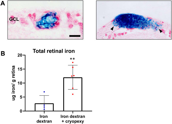 Figure 6.