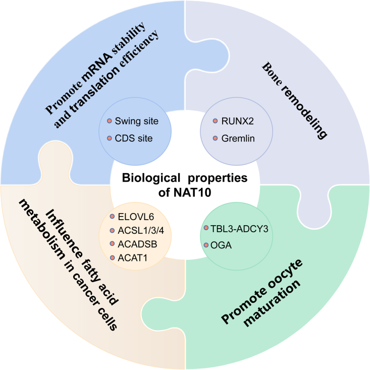 Figure 2