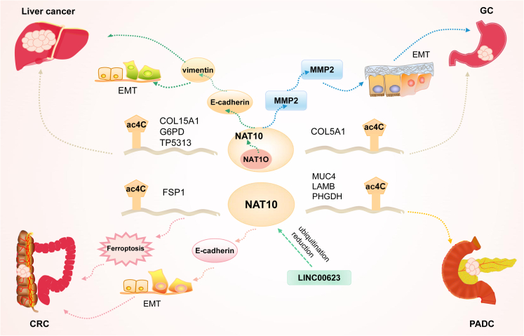 Figure 3