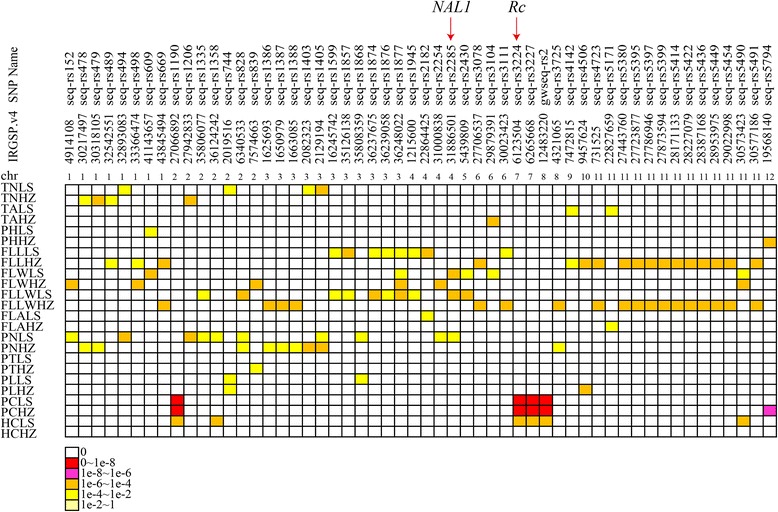 Fig. 11