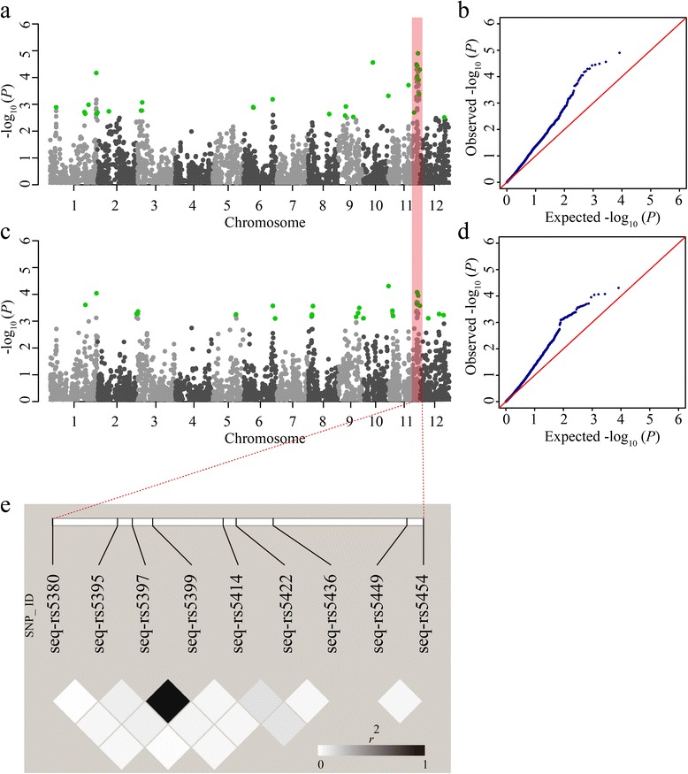 Fig. 12