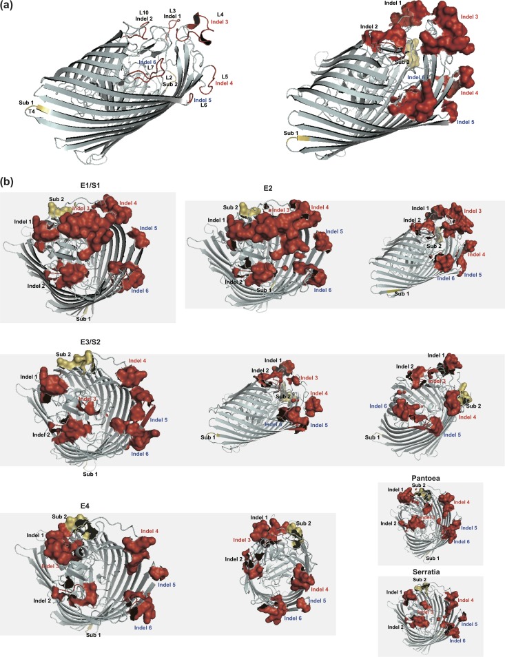 FIG 6