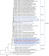 Fig 2: