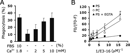 FIG. 5.