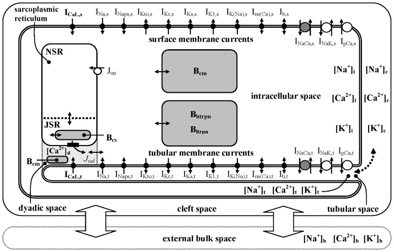 Figure 10.