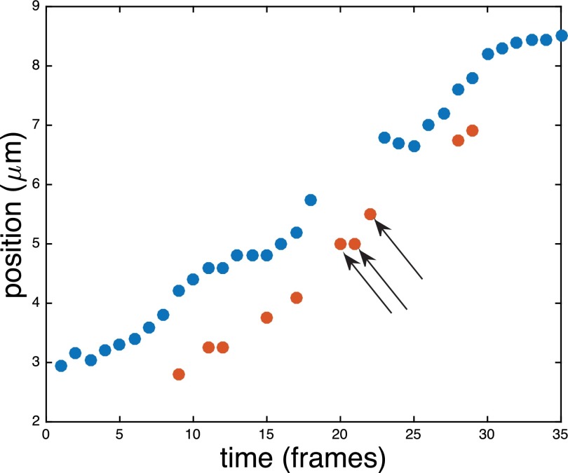 FIG. 1.