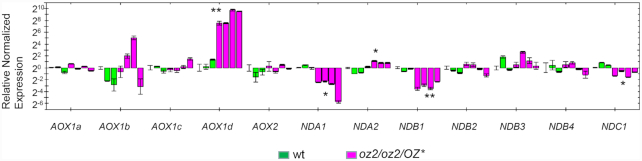 Figure 7.