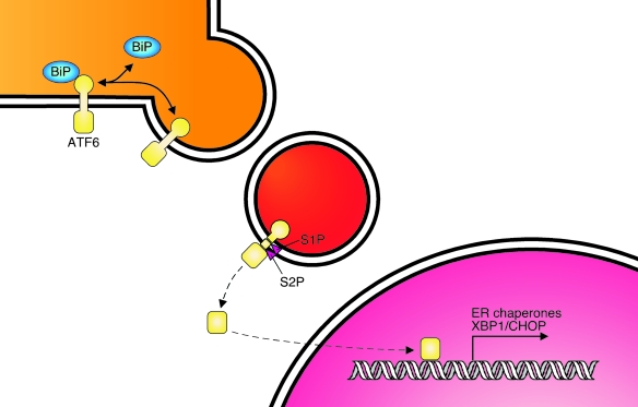 FIG. 6.