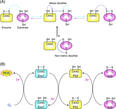 FIG. 3.