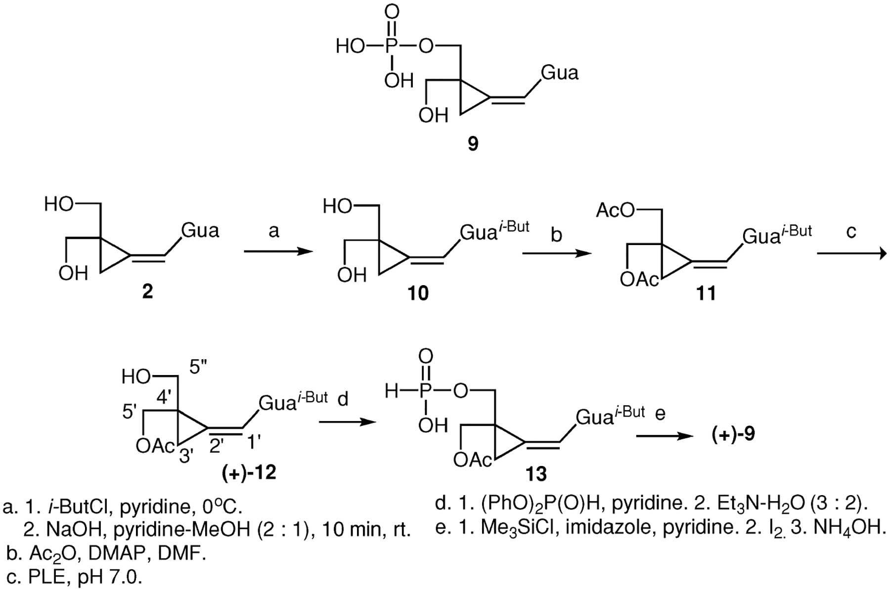 SCHEME 2