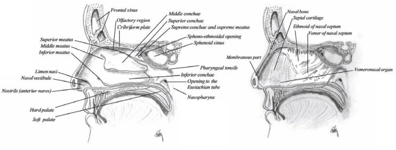 Fig. (4)