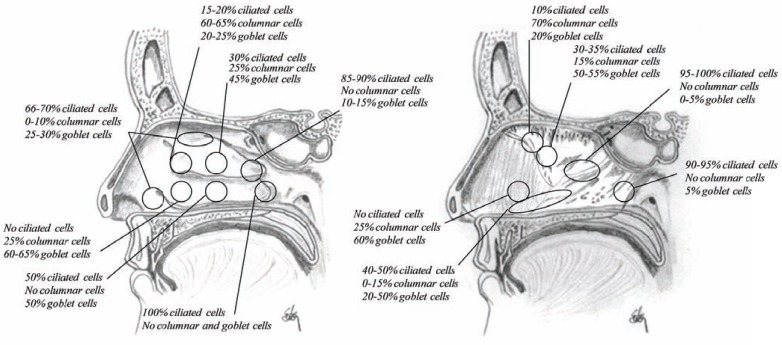 Fig. (20)