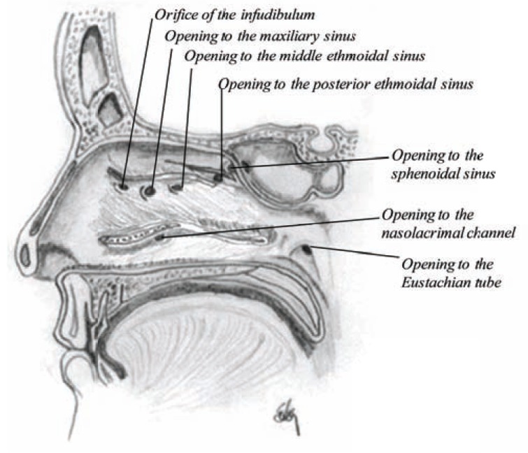 Fig. (7)