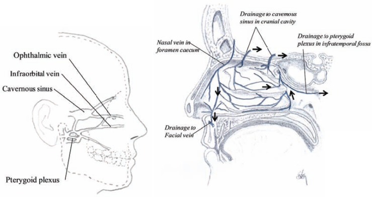 Fig. (9)