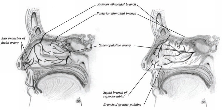 Fig. (8)