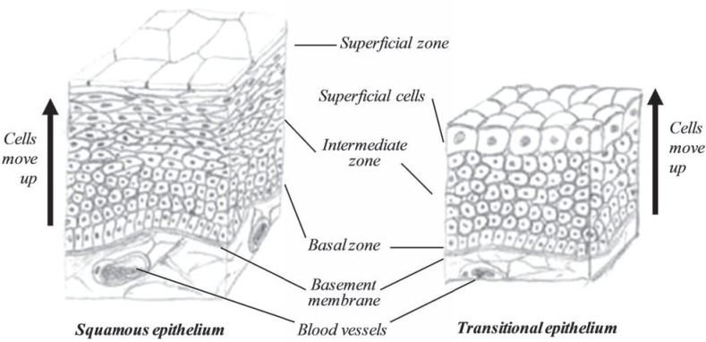 Fig. (18)