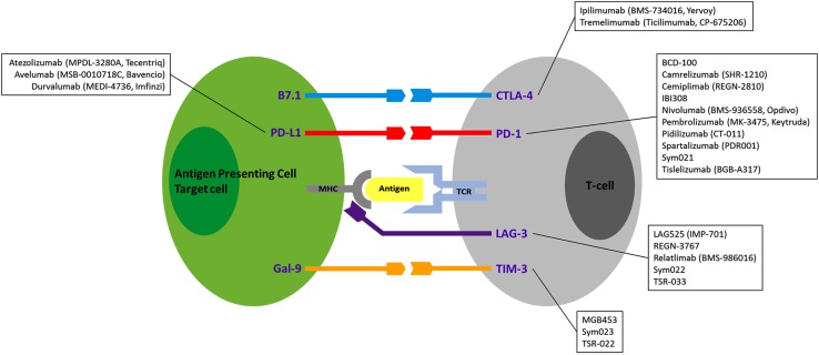 Fig. 3