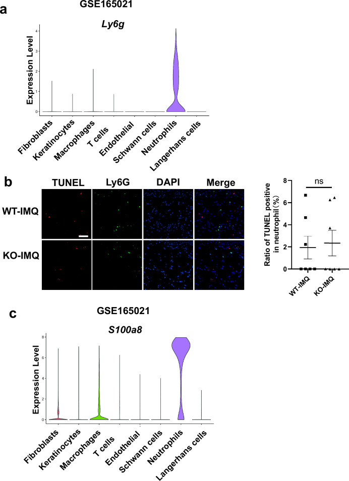 Figure 3—figure supplement 1.