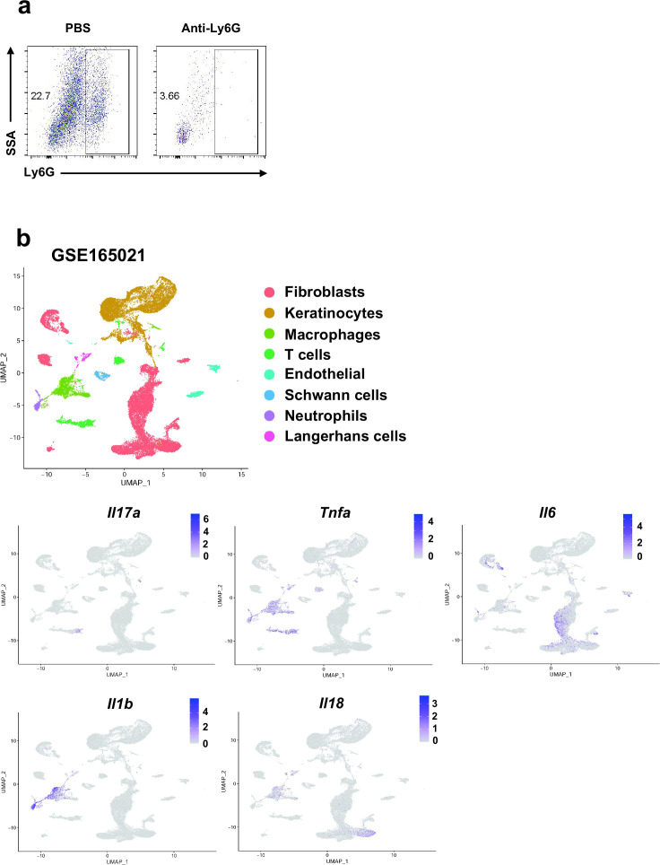 Figure 4—figure supplement 1.