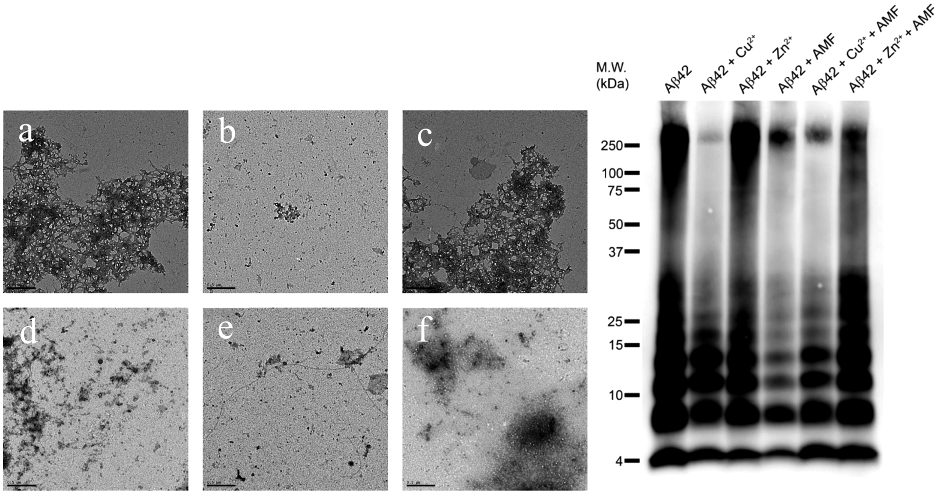 Figure 11.