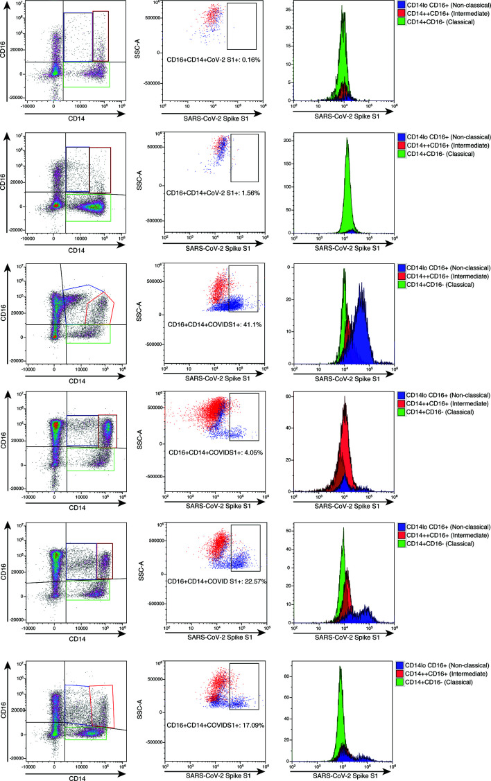 Figure 2