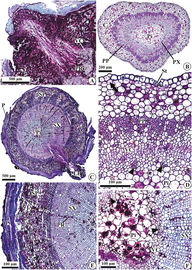 Figure 6.