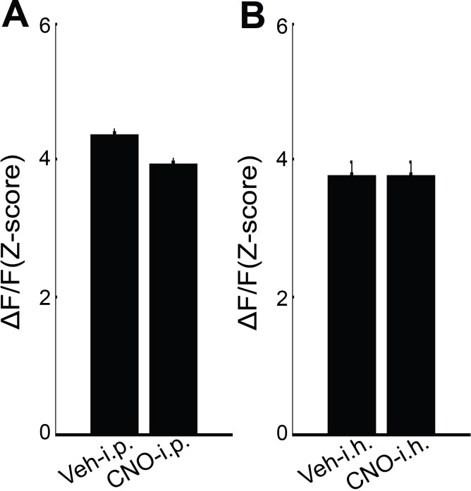 Figure 3—figure supplement 4.