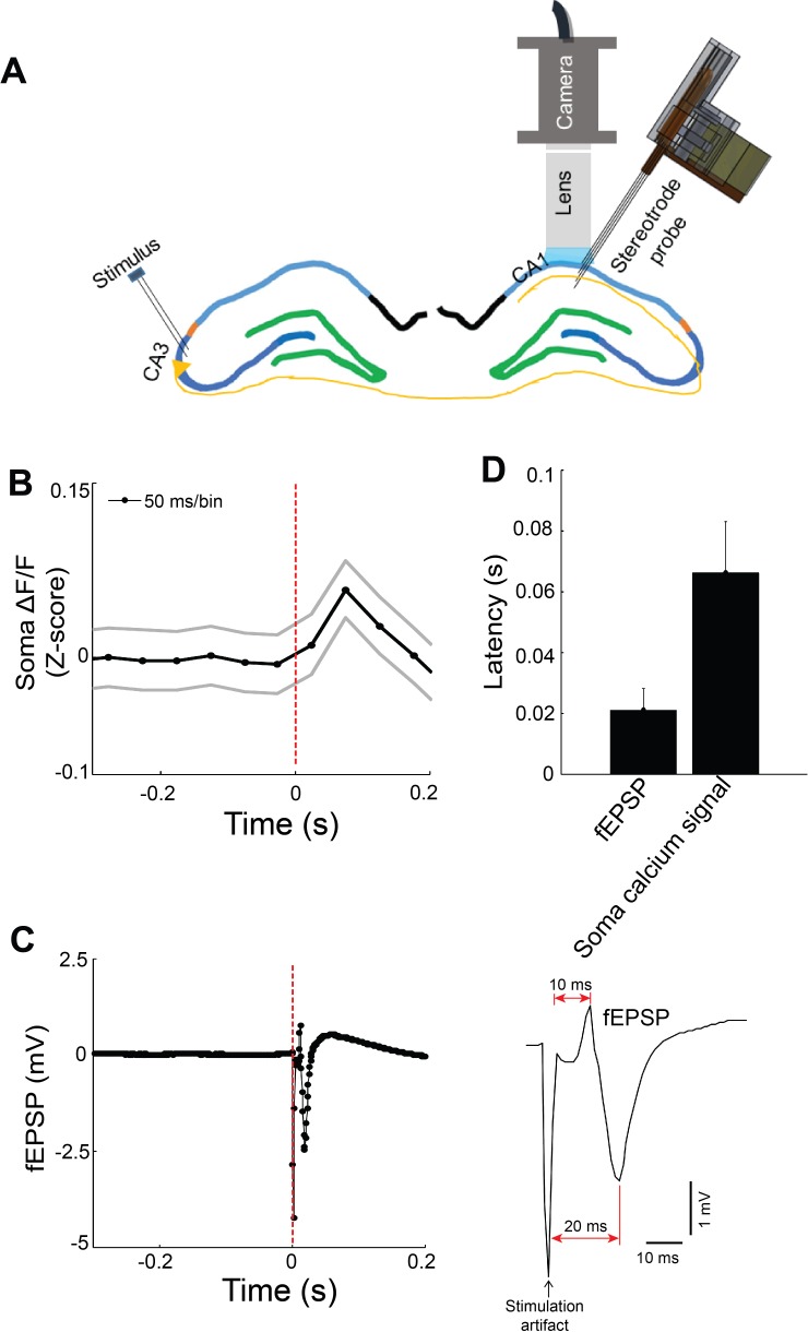 Figure 2—figure supplement 3.