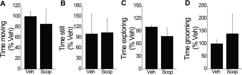 Figure 4—figure supplement 1.