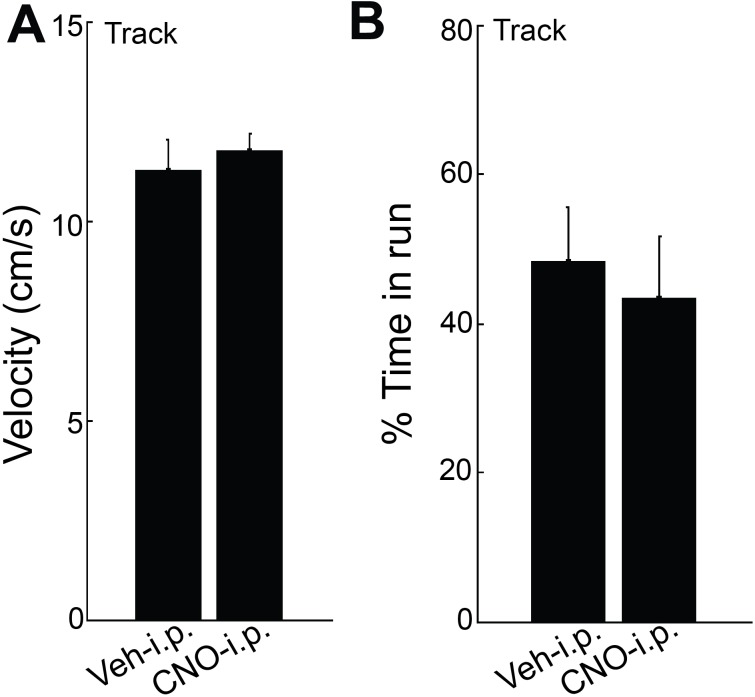 Figure 3—figure supplement 3.