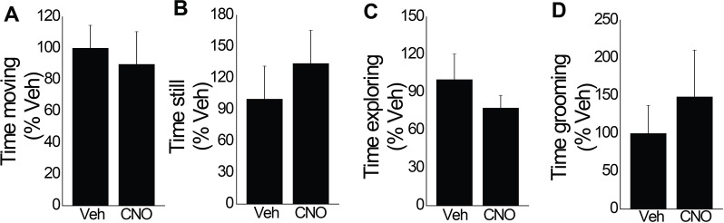 Figure 3—figure supplement 2.