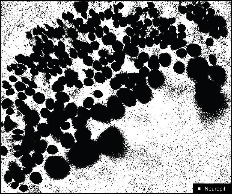 Figure 2—figure supplement 2.