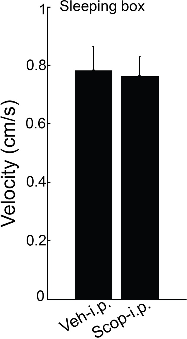 Figure 4—figure supplement 2.