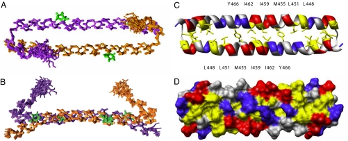 Fig. 1.