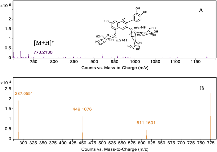 Fig. 2