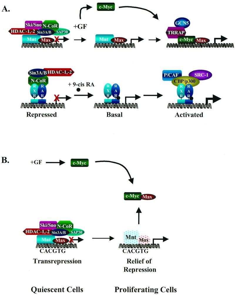 FIG. 4