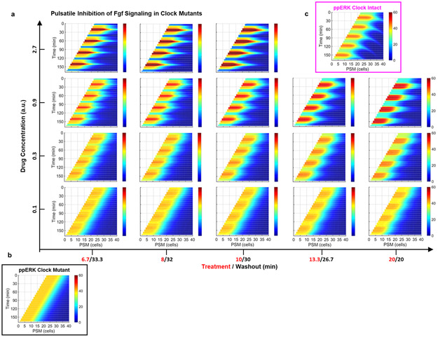 Extended Data Figure 5: