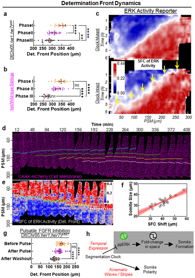 Fig. 4: