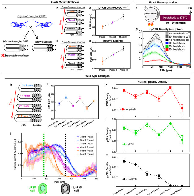 Extended Data Figure 1: