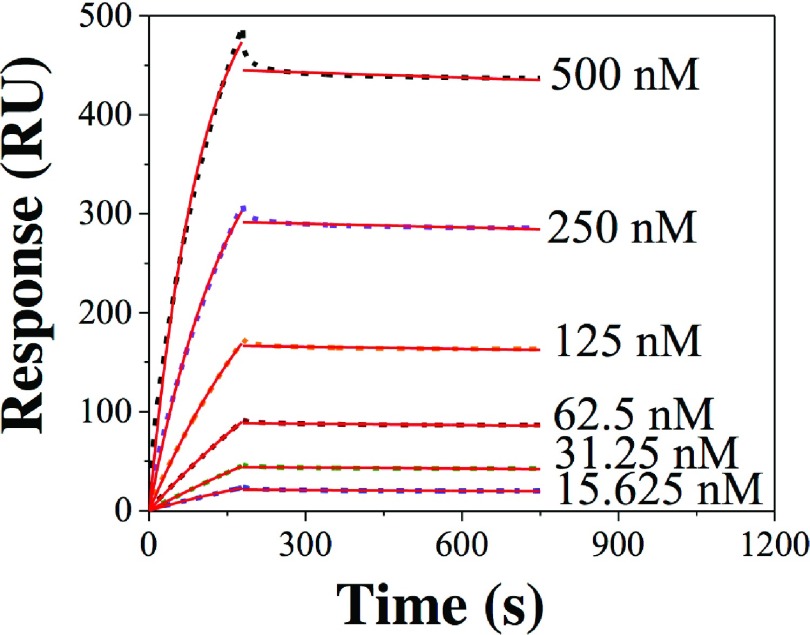 FIG. 2.