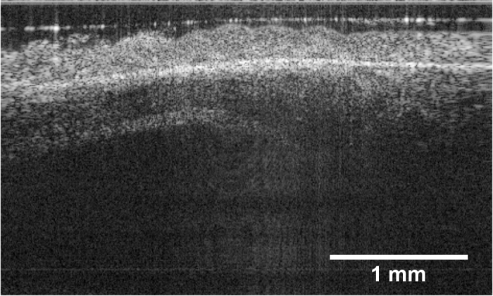 Fig. 4