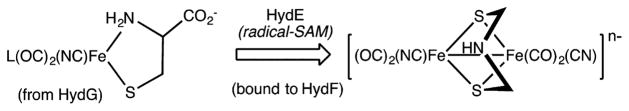 Scheme 2