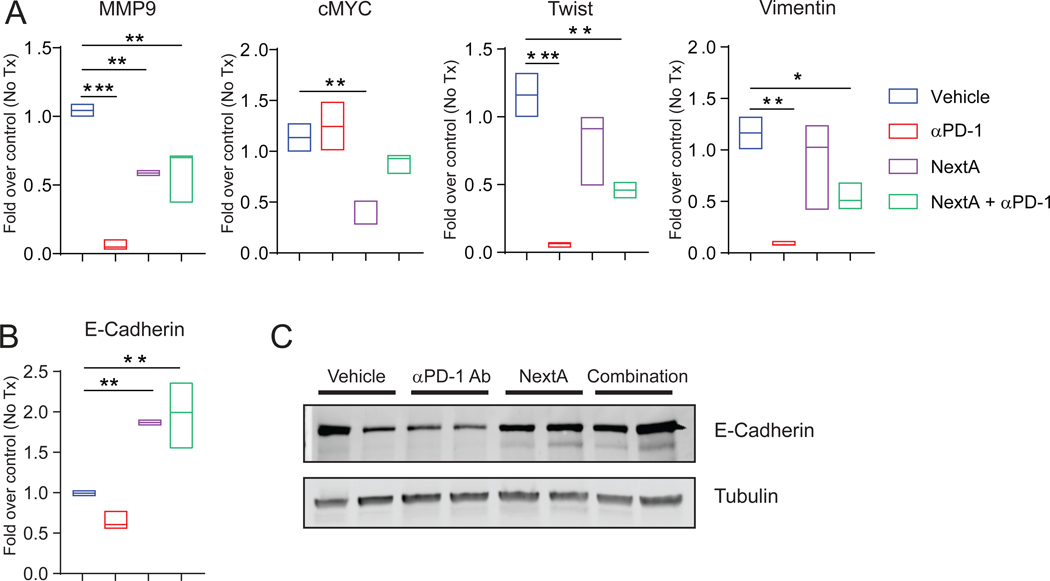 Fig. 6: