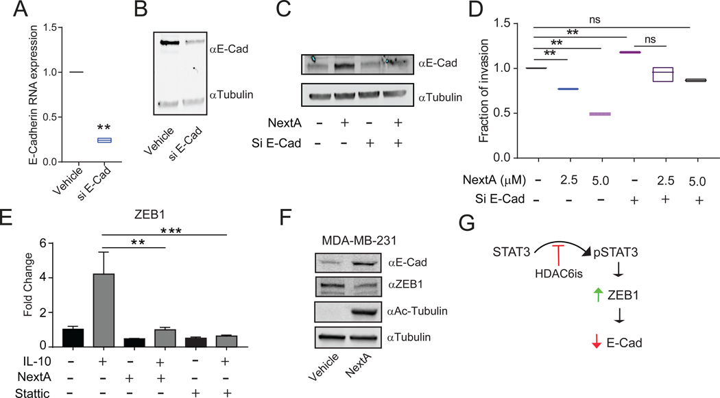 Fig. 7: