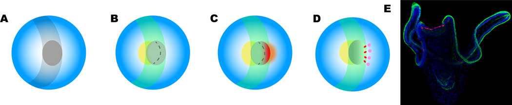 Fig. 2