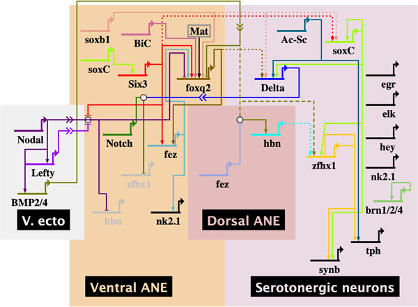 Fig. 3.