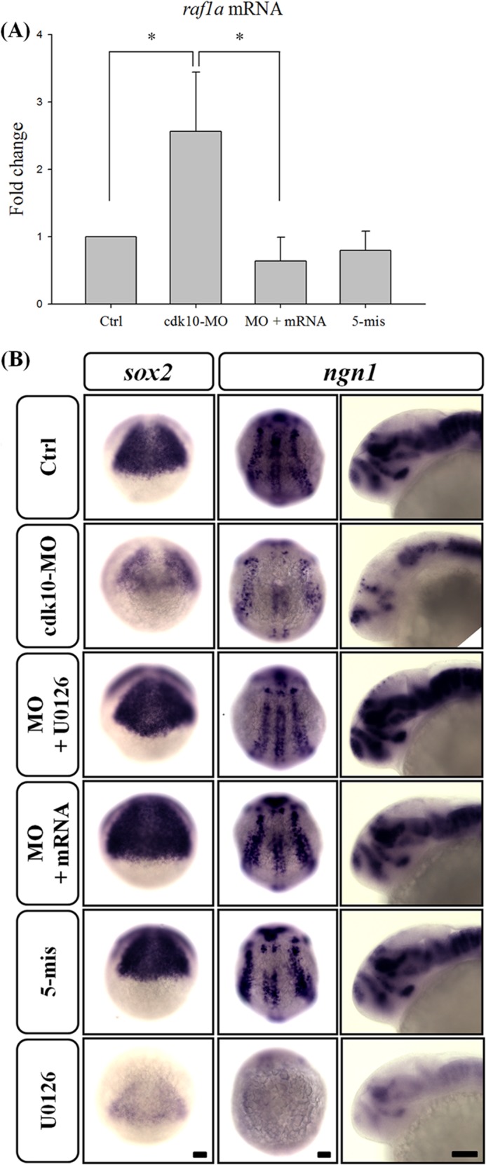 FIGURE 12.