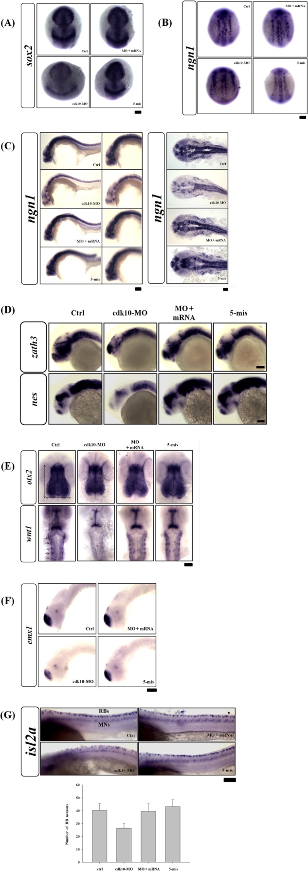 FIGURE 6.