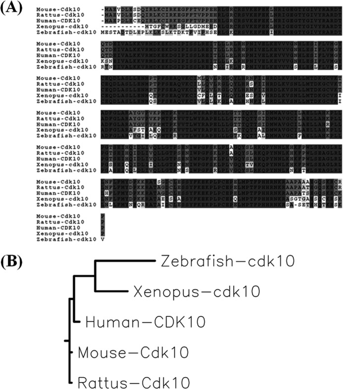 FIGURE 1.