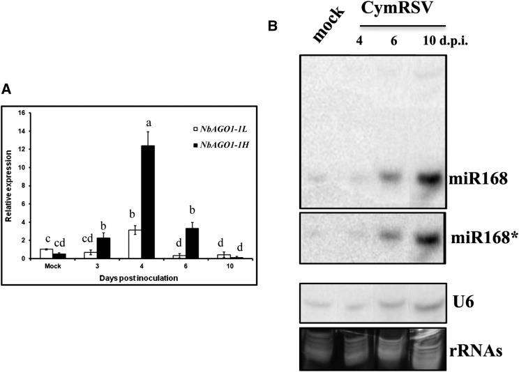 Figure 4.